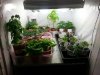 20130325_201525.jpg