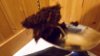 SAM_0055.jpg