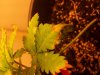 20130328_122040.jpg