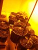 2013-03-27 22.50.36.jpg
