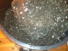 2013-03-28 20.11.44.jpg