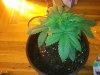 2013-03-28 20.11.59.jpg