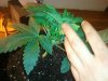 2013-03-28 20.12.22.jpg