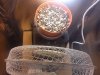 IMG_20130329_110300.jpg