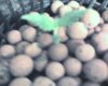 img022.jpg
