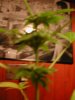 DSCN2783.jpg