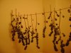 DSC00059.JPG