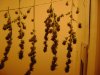 DSC00058.JPG