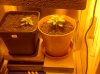 IMG-20130331-00831.jpg