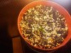 IMG_20130331_125801.jpg