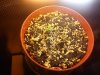 IMG_20130331_125818.jpg