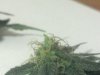2013-03-31_22-12-58_756.jpg