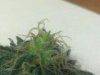 2013-03-31_22-13-35_627.jpg