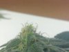 2013-03-31_22-14-16_448.jpg