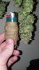 plant 2 compare(1).jpg
