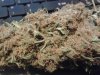 ak481.jpg ak481.jpg