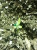 20130402_184200-1.jpg
