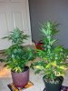 2013-04-03_00-28-38_708.jpg