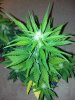 2013-04-03_00-29-01_509.jpg