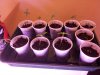 20130403_112032.jpg