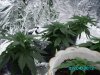 IMG_0030.jpg