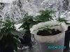 IMG_0043.jpg