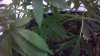 2013-04-05_12-37-25_392.jpg