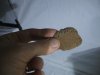 4-4-13 hash3.jpg