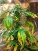 CYMERA_20130405_153226.jpg