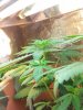 CYMERA_20130405_153404.jpg