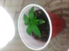 2013-04-06 18.20.04.jpg