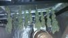 IMAG0451_BURST001.jpg