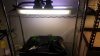 20130407_155559.jpg