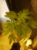 IMG_20130407_230107.jpg