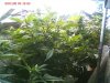 pic100908_4.jpg