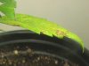 DSC00840.JPG