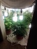 IMG_20130407_021549.jpg
