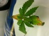20130405_232148.jpg