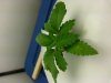 20130405_232154.jpg