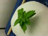 20130407_095300.jpg
