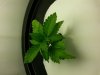 20130408_170734.jpg