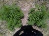 IMG-20130409-00346.jpg