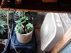 IMG_20130410_014622.jpg