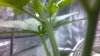 2013-04-10_17-45-10_113.jpg 2013-04-10_17-45-10_113.jpg