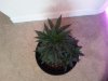 20130410_182238.jpg