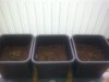 20130411_113935.jpg 20130411_113935.jpg