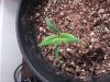 20130409_181453.jpg