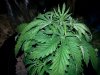 20130411_100532.jpg