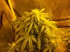 2013-04-12_15-53-26_830.jpg