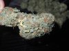 og (2).jpg